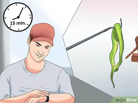 Image titled Look After a Venomous Snake Step 16