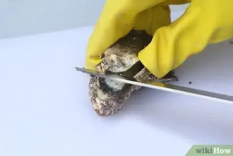 Image titled Fry Oysters Step 10