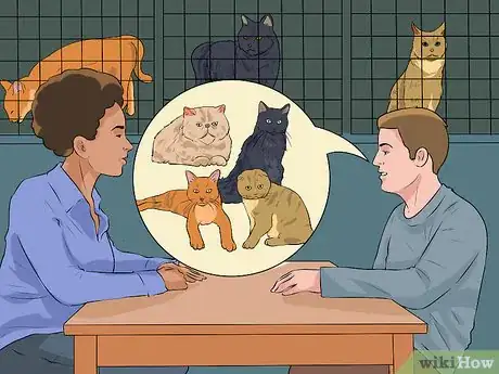 Image titled Adopt a Special Needs Cat Step 3