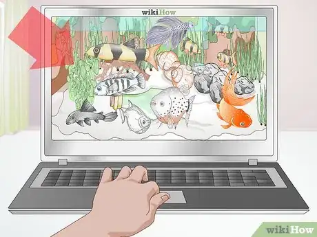 Image titled Take Care of Freshwater Fish Step 1