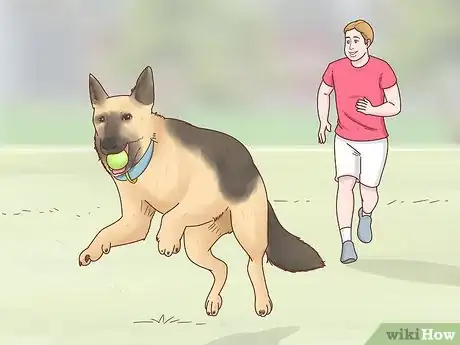 Image titled Adopt a German Shepherd Step 3