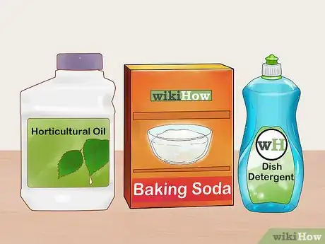 Image titled Grow Roses Organically Step 15