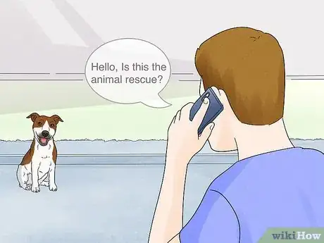 Image titled Help Homeless Animals Step 27