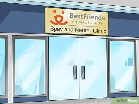 Image titled Help Homeless Animals Step 24