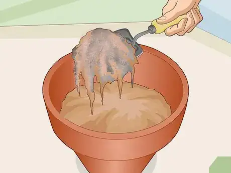 Image titled Care for a Bleeding Heart Step 6