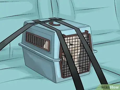 Image titled Bring a Dog to the Country of Panama Step 9