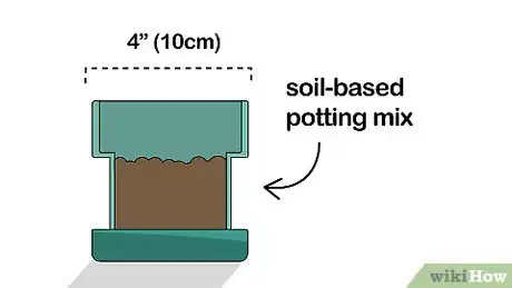 Image titled Grow a Ficus Benjamina Step 8