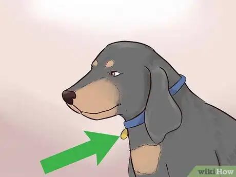 Image titled Take Care of Pets During a Hurricane Step 12