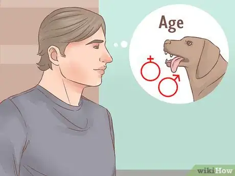 Image titled Choose a Second Dog Step 8