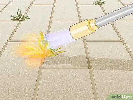 Image titled Burn Weeds in Rocks Step 1