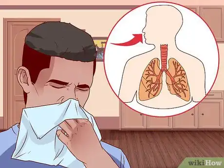 Image titled Deal With Exposure to Potentially Toxic Mold Step 3