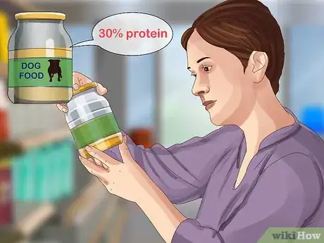 Image titled Feed an American Bully Puppy Step 2