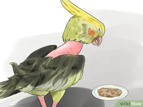 Image titled Recognize Stress in Your Pet Parrot Step 4
