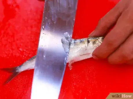 Image titled Cook Kerala Style Fried Sardines (Chala Varutathu) Step 1