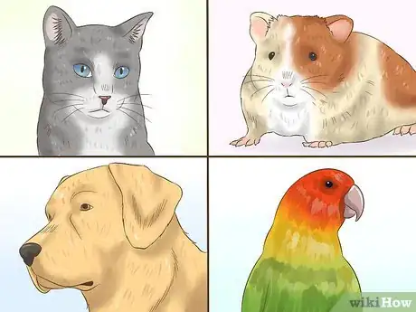 Image titled Take Care of Your Pet Step 2