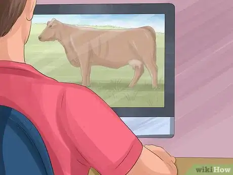 Image titled Identify Shorthorn Cattle Step 1