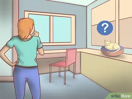 Image titled Know if You Are Ready for a Cat Step 6