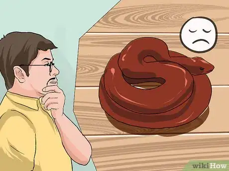 Image titled Look After a Venomous Snake Step 12