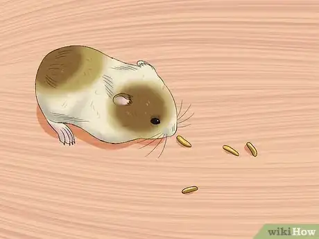 Image titled Make Baby Dwarf Hamster Food Step 5