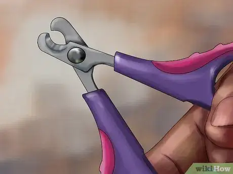 Image titled Choose Nail Trimmers for Your Cat Step 9