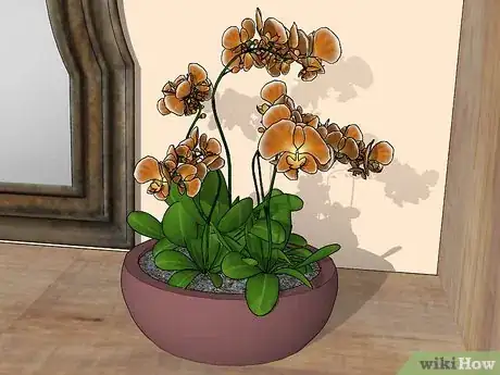 Image titled Decorate a Dressing Room Step 12