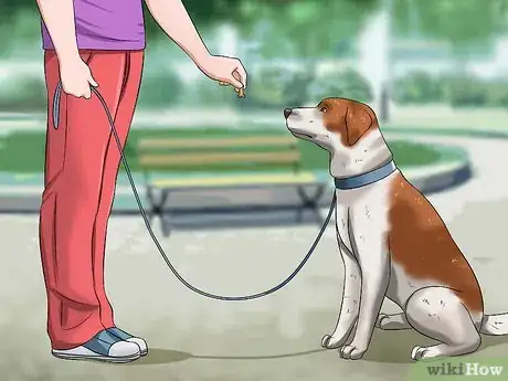 Image titled Teach Your Dog to Speak Step 9