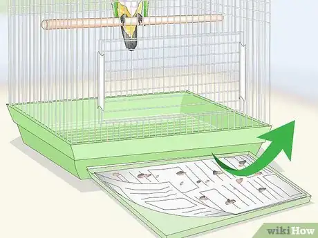 Image titled Clean a Caique Parrot Cage Step 1