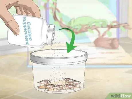 Image titled Prevent MBD in Chameleons Step 2