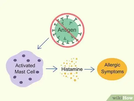 Image titled Treat Mast Cell Activation Syndrome Step 2