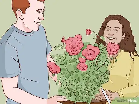 Image titled Buy Rose Bushes Step 3