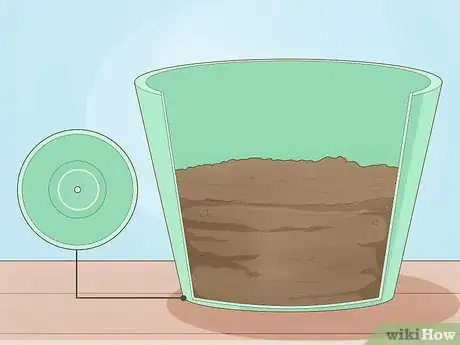 Image titled Plant a Woolworths Discovery Garden Step 14