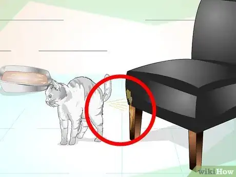 Image titled Keep Your Cat from Urinating Where It Shouldn't Step 8
