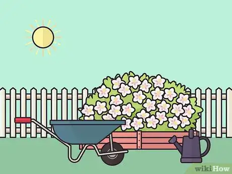 Image titled Grow Weigela Step 1