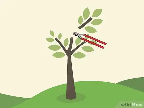Image titled Prune an Avocado Tree Step 11
