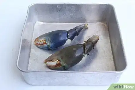 Image titled Cook Stone Crab Claws Step 13