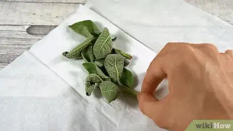 Image titled Use Up Sage Step 15
