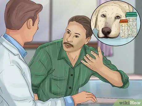 Image titled Prepare a Dog for Air Travel Step 6