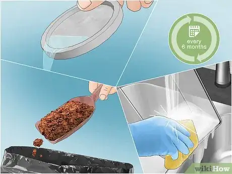 Image titled Care for a Chilean Rose Tarantula Step 17