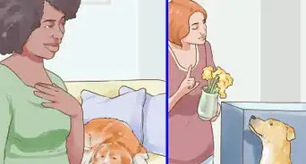 Responsibly Give a Dog As a Gift