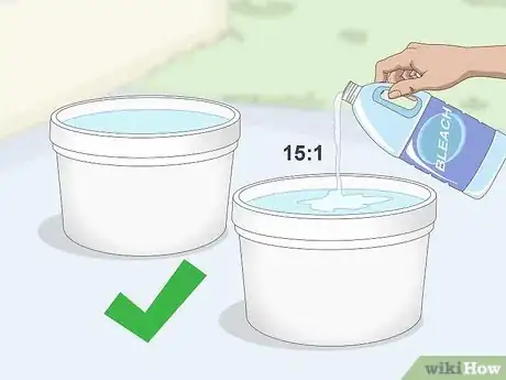 Image titled Divide Gerbera Daisies Step 1