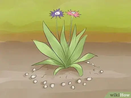 Image titled Discourage Skunks in Your Garden Step 4