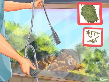 Image titled Clean a Fiddler Crab Tank Step 1