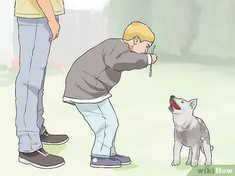 Image titled Choose a Dog for Older Kids Step 13