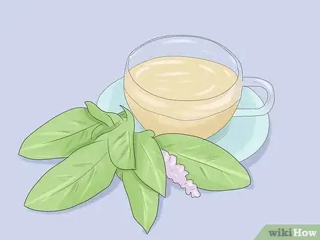 Image titled Grow Sage Step 8