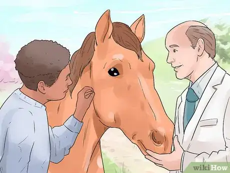 Image titled Do Condition Scoring for Horse Yearlings Step 9