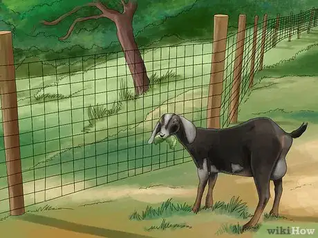 Image titled Manage Pastures Using Rotational or Management Intensive Grazing Step 06