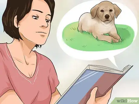 Image titled Buy a Labrador Retriever Puppy Step 1