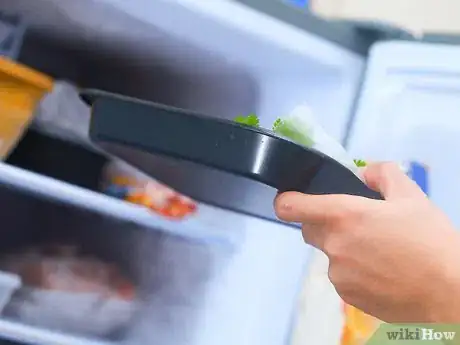 Image titled Freeze Herbs Step 8