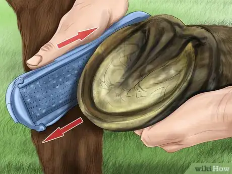 Image titled Maintain Good Hoof Care on Your Horse Step 13