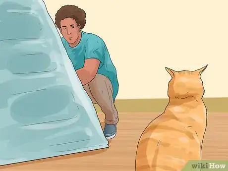 Image titled Teach a Cat to Climb a Ladder Step 5